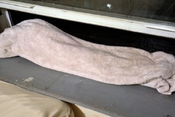 Муж каждую ночь оставляет мокрое полотенце под окном… Самый странный трюк, который ни разу не подвел! 6 Муж каждую ночь оставляет мокрое полотенце под окном… Самый странный трюк, который ни разу не подвел!