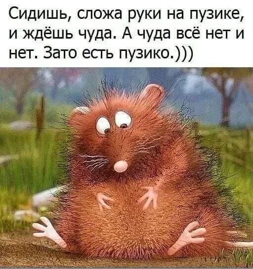 15 классных веселых анекдота