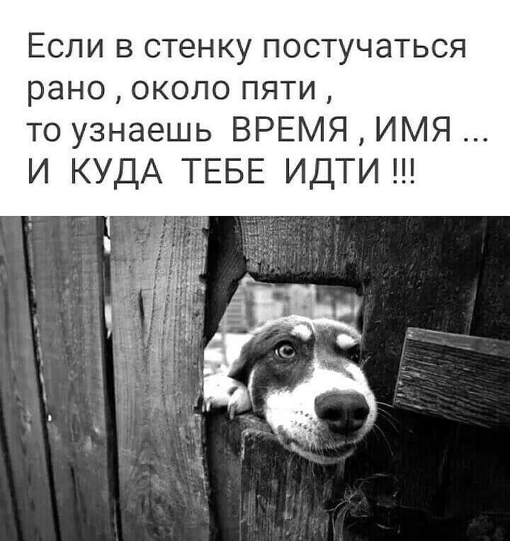 15 классных веселых анекдота