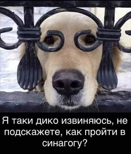 15 классных веселых анекдота