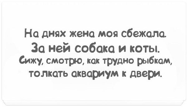 15 классных веселых анекдота