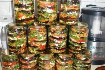 baklajani-na-zimu-retept-s-foto-2