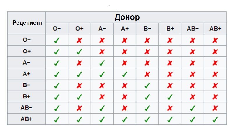 5 фактов о своей группе крове, которые жизненно необходимо знать 30 таблица совместимости крови