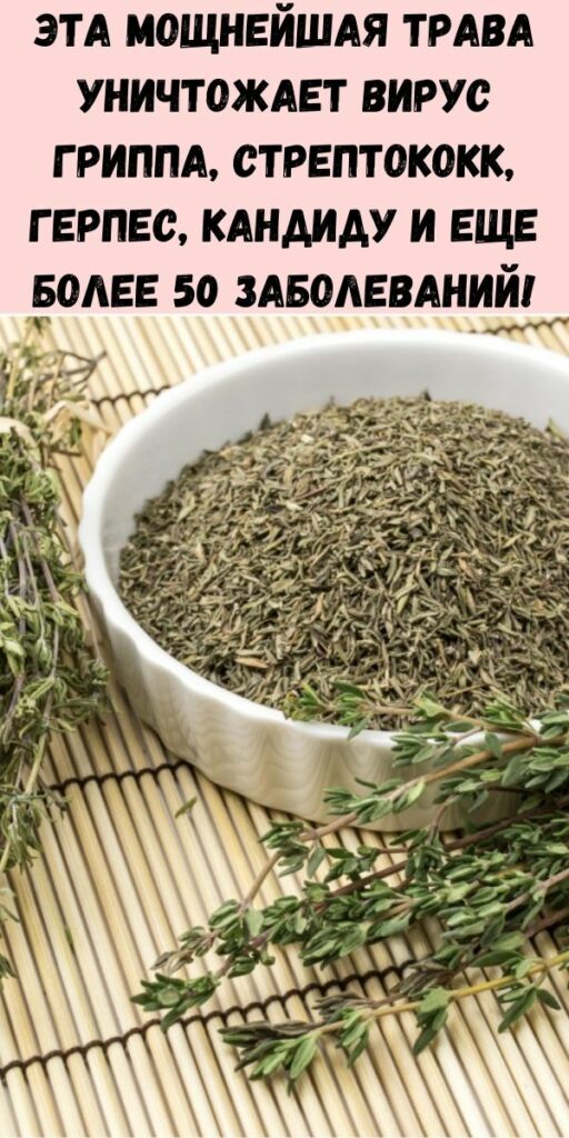 Травы самые сильные для сосудов. Самая. Мощная. Самое сильное растение. Самое сильное растение.