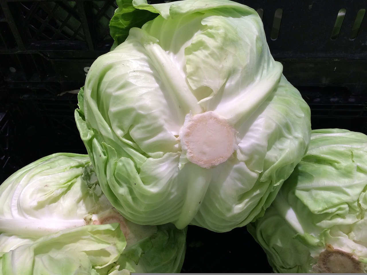 Какими способами можно улучшить вкус тушеной капусты 7 Какими способами можно улучшить вкус тушеной капусты