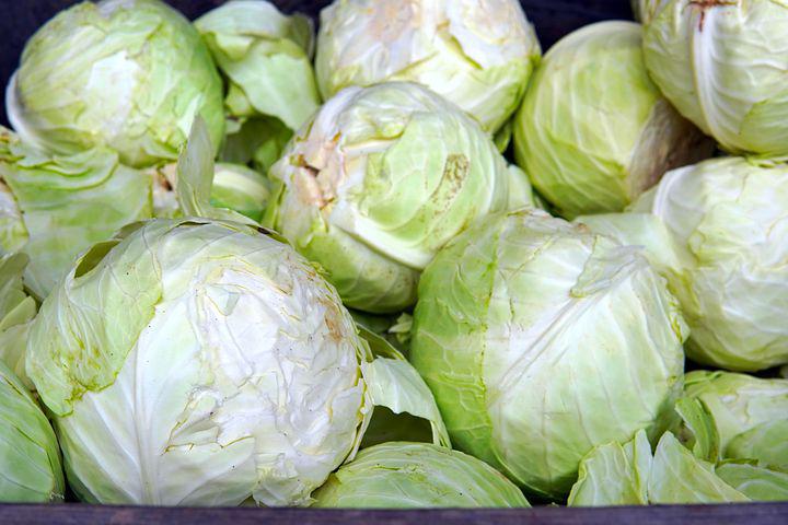 Быстрое заквашивание сочной и хрустящей капусты – всего 1 сутки 11 Быстрое заквашивание сочной и хрустящей капусты – всего 1 сутки