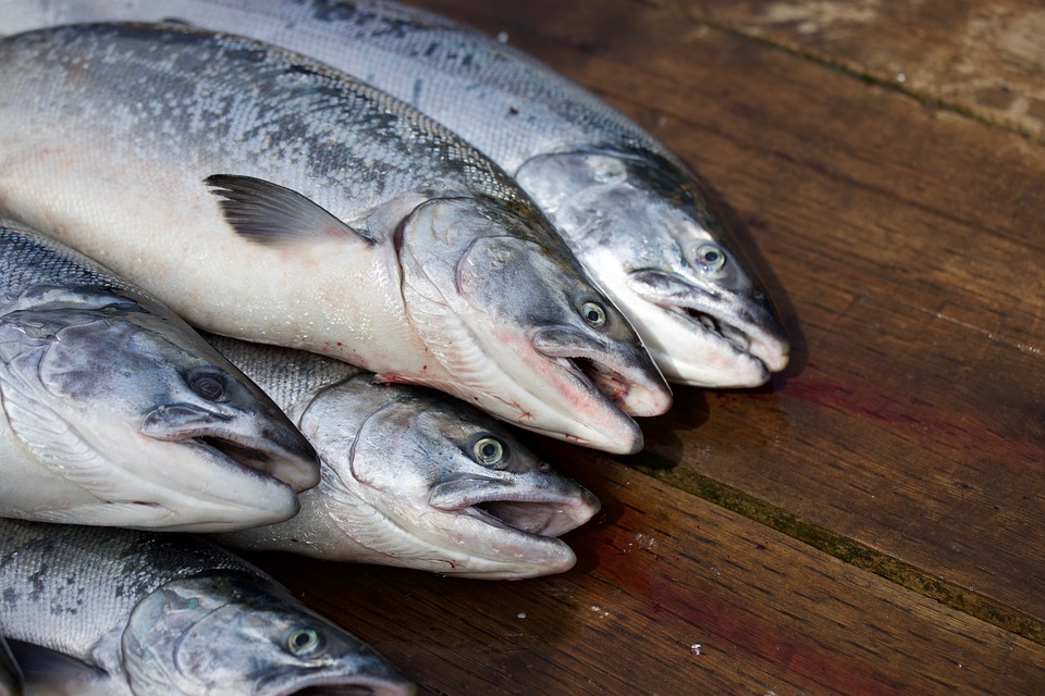 Как приготовить вкусную рыбу? Секреты разморозки и маринада