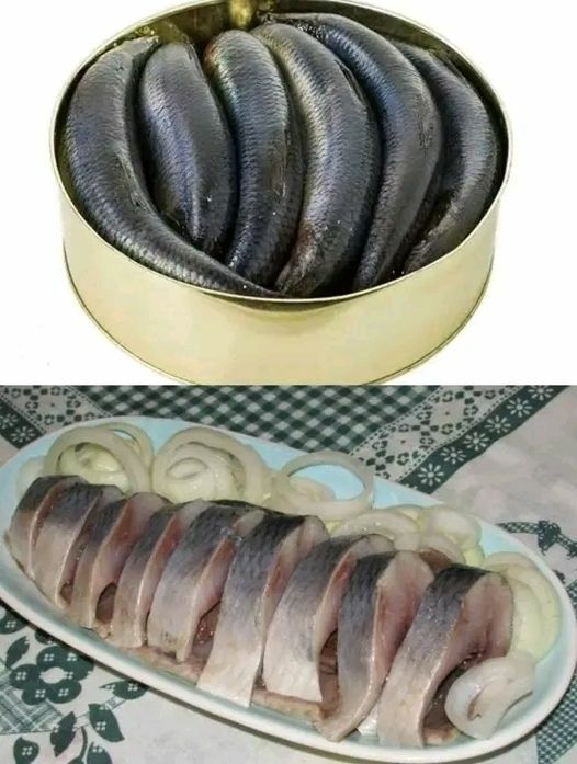 Помните вкусную селёдку в СССР? Вот ее рецепт! «Это был доступный для народа продукт» 4 Помните вкусную селёдку в СССР