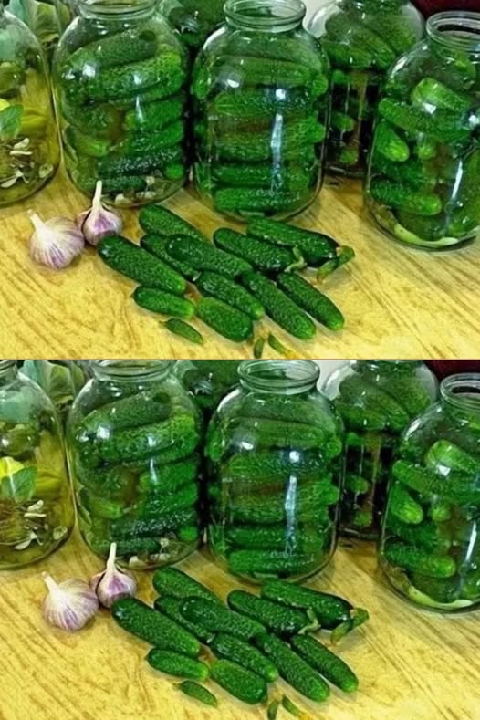 ОГУРЦЫ ЗЛОДЕЙСКИЕ