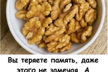 Вы теряете память, даже этого не замечая. А мозгу просто не хватает этих 7 продуктов.