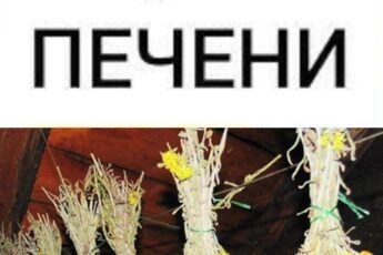 В 40 лет поставили мне диагноз - цирроз печени. Готовиться к смерти стала, да один древний дед меня спас и теперь ни одна болезнь меня не берёт, да и семейство своё я вылечила. Тётушку тоже от этого спасла. Вот какой рецепт дед тот древний мне дал: "Берёшь 3 столовые ложки…