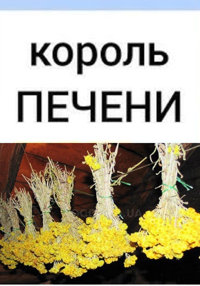 В 40 лет поставили мне диагноз - цирроз печени. Готовиться к смерти стала, да один древний дед меня спас и теперь ни одна болезнь меня не берёт, да и семейство своё я вылечила. Тётушку тоже от этого спасла. Вот какой рецепт дед тот древний мне дал: "Берёшь 3 столовые ложки…