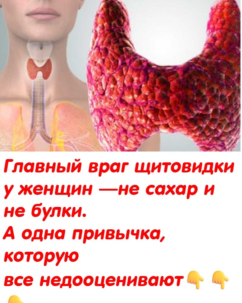Главный враг щитовидки у женщин — не сахар и не булки. А одна привычка, которую все недооценивают Главный враг щитовидки у женщин — не сахар и не булки. А одна привычка, которую все недооценивают