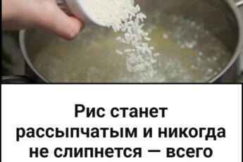 Рис станет рассыпчатым и никогда не слипнется — всего одна ложка прямо в кастрюлю