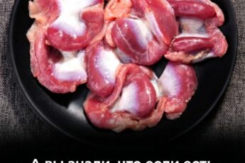 А знаете ли вы, что, употребляя куриные желудки, можно избежать необходимости принимать…