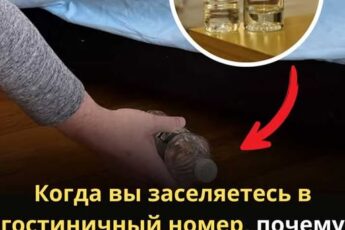 «Трюк для путешественников, о котором не расскажут в отеле: безопасность за 2 минуты».