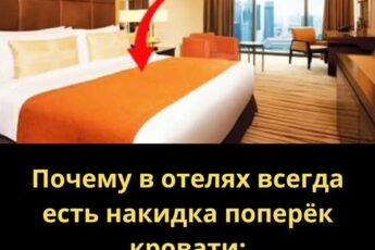 Вы замечали эту ткань на кровати в отеле? Вот зачем она нужна на самом деле!