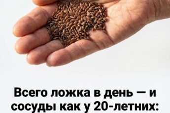 История от нашей подписчицы: съедаю горсть этого продукта в день, и работа печени заметно улучшается.