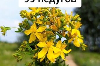 Лекарь 99 недугов!