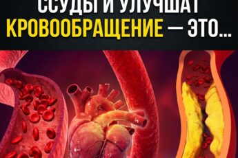 Один витамин, способный кардинально улучшить ваше кровообращение.