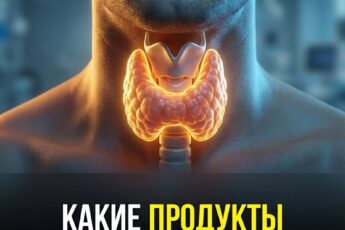 Это "список продуктов", которые вам никогда не следует есть...