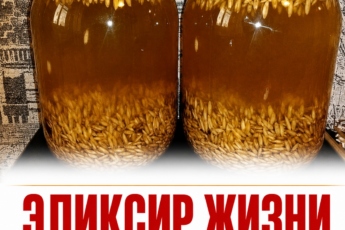 Овсяный отвар: как мягкое очищение организма и поддержка обмена веществ помогают в борьбе за легкость