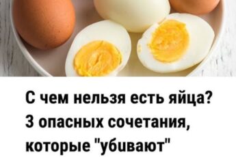 С чем нельзя есть яйца? 3 опасных сочетания, которые "убuвают" пользу и вредят пищеварению после 45